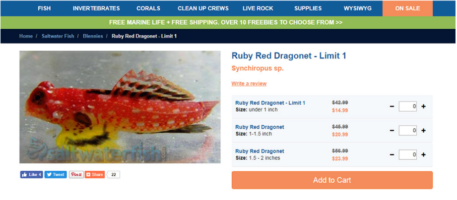 電子商務(wù)產(chǎn)品頁(yè)面設(shè)計(jì):網(wǎng)頁(yè)設(shè)計(jì)師的最佳實(shí)踐和技巧-瑩晨建站-www.algeanandpartners.com 電子商務(wù)產(chǎn)品頁(yè)面設(shè)計(jì):網(wǎng)頁(yè)設(shè)計(jì)師的最佳實(shí)踐和技巧-瑩晨建站-www.algeanandpartners.com