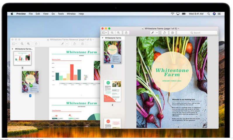 在網(wǎng)頁上使用PDF的提示-瑩晨建站-www.algeanandpartners.com