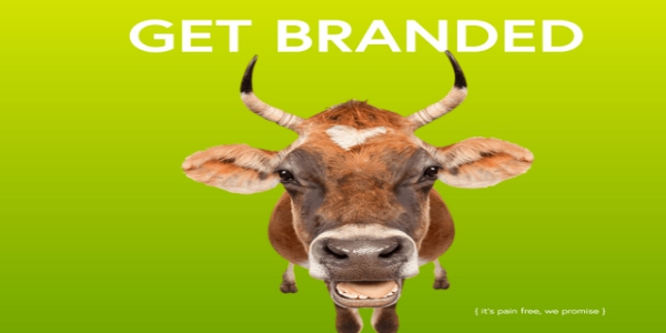 2019年喜愛（和使用）漸變的10個理由-瑩晨建站-www.algeanandpartners.com