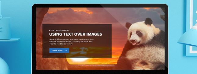 啟動(dòng)網(wǎng)站前必須做的五件事情-瑩晨建站-www.algeanandpartners.com