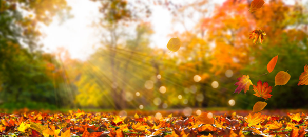 2019年網(wǎng)站設(shè)計(jì)新趨勢(shì)-瑩晨建站-www.algeanandpartners.com