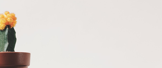 移動設(shè)計中留白設(shè)計定義和重要性-瑩晨建站-www.algeanandpartners.com