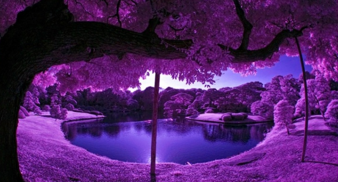 網(wǎng)站設(shè)計(jì)師制作的4種顏色錯(cuò)誤-瑩晨建站-www.algeanandpartners.com