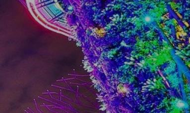 如何選擇想要的網(wǎng)頁設(shè)計風(fēng)格